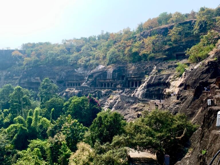 Bird watching Adventures