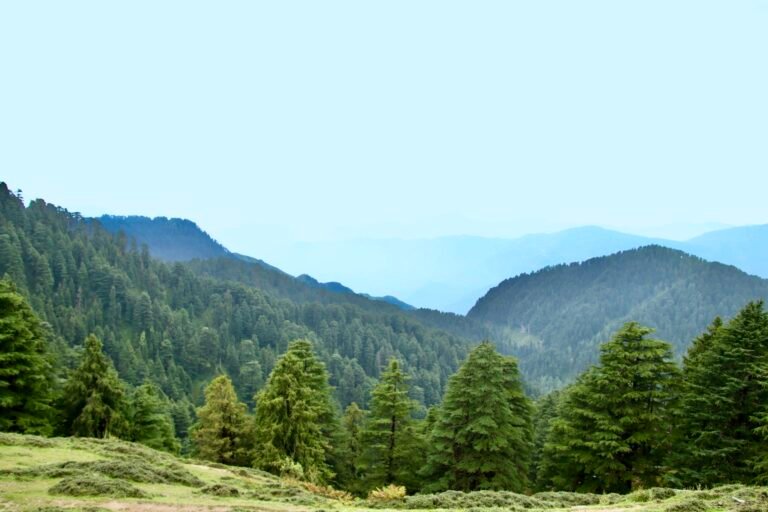 Calm Uttrakhand