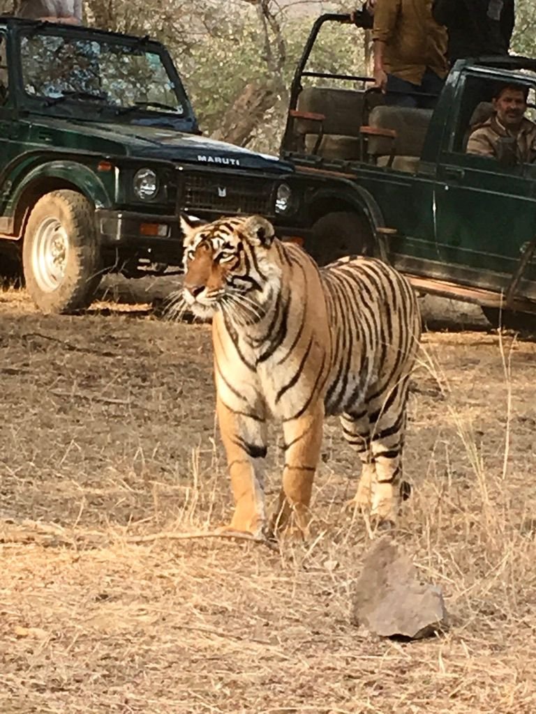 Adventures at Wild life Reserves