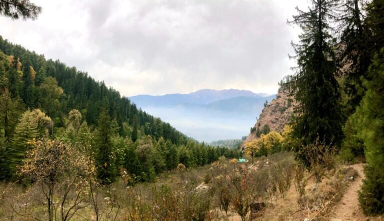 Tranquil Himachal Adventure