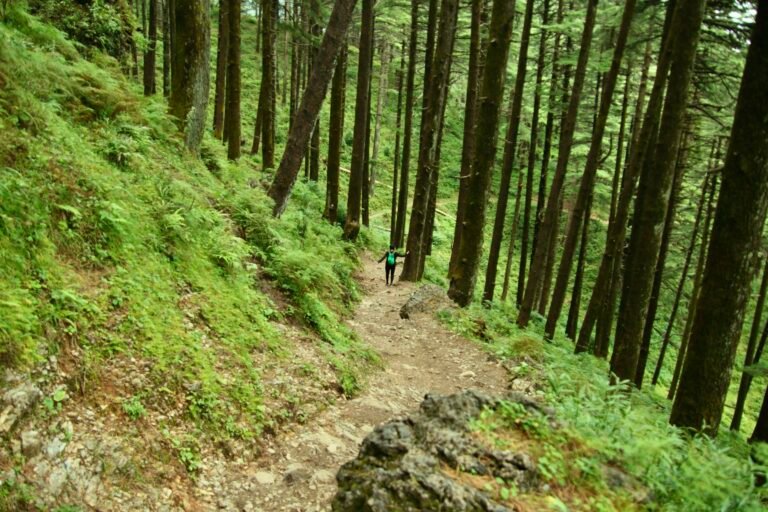 Choose a Region, a Destination or let us know your interests and we will plan a special Adventure for you.