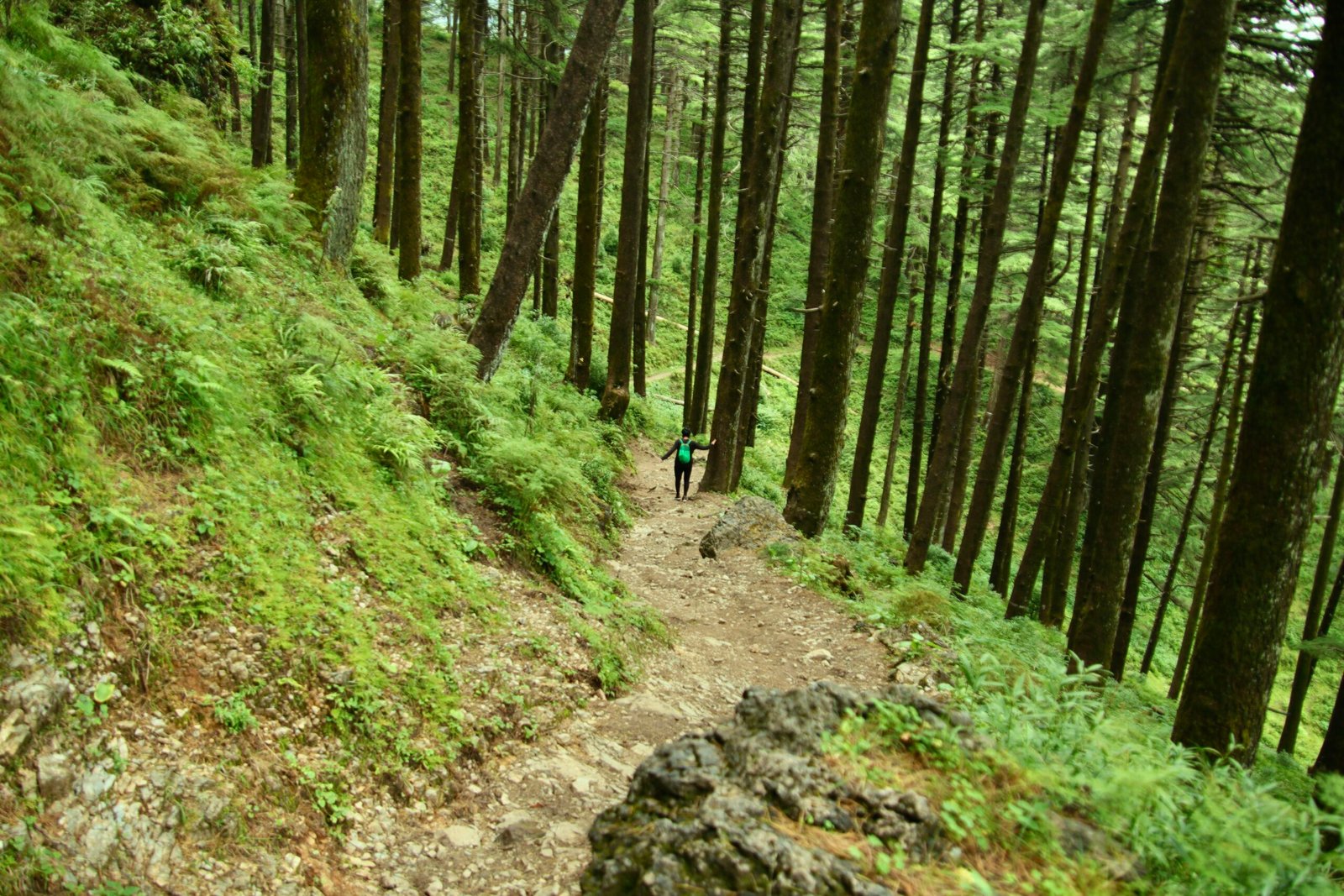 Choose a Region, a Destination or let us know your interests and we will plan a special Adventure for you.